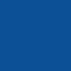 Eidon Lowers Short - BLUE